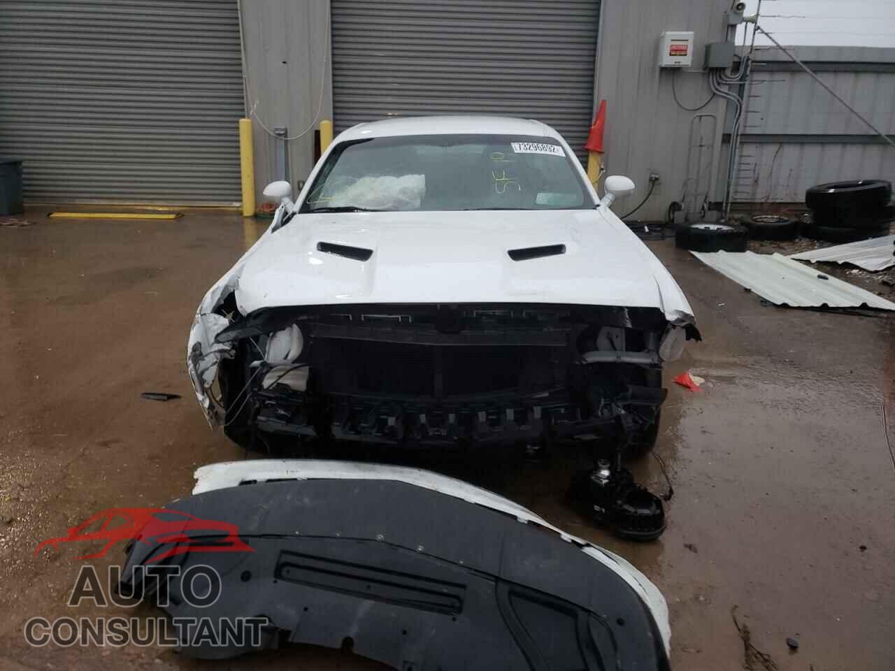 DODGE CHALLENGER 2019 - 2C3CDZAG7KH694142