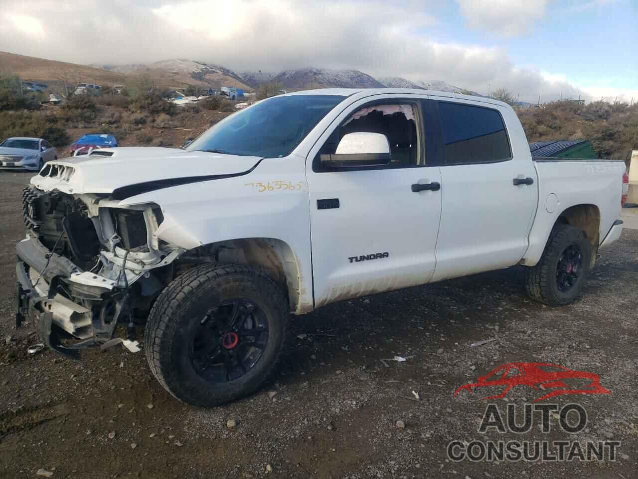 TOYOTA TUNDRA 2019 - 5TFDY5F10KX829328