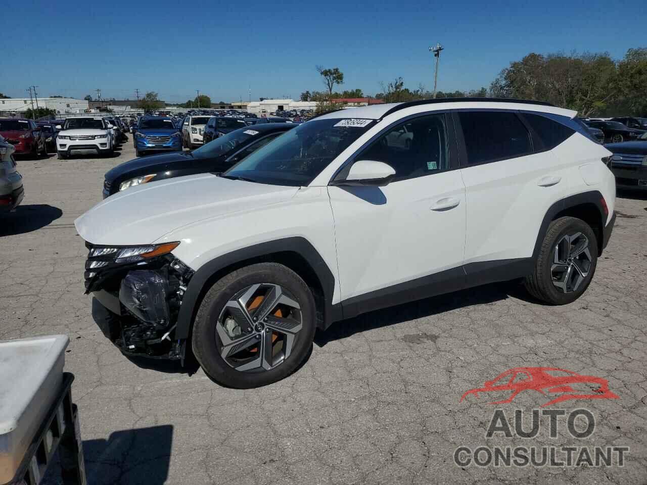 HYUNDAI TUCSON 2024 - 5NMJBCDE4RH421027