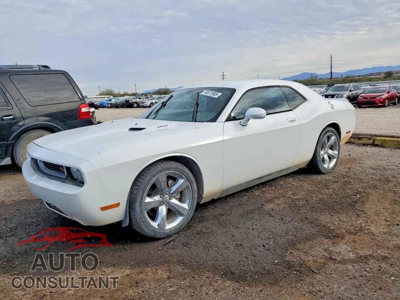 DODGE CHALLENGER 2014 - 2C3CDYBT0EH101358
