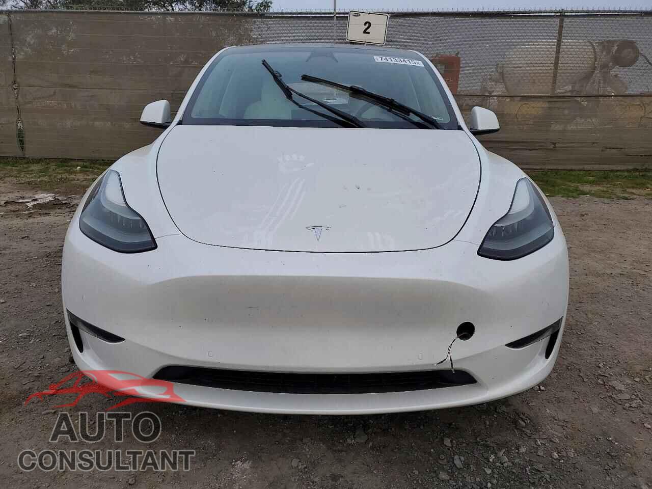 TESLA MODEL Y 2022 - 7SAYGDEF7NF553288