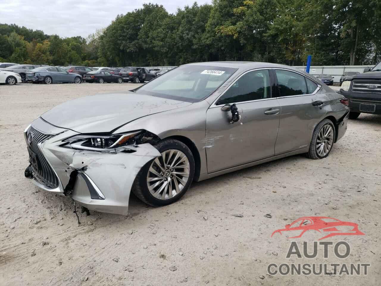 LEXUS ES300 2021 - 58AEA1C10MU006039