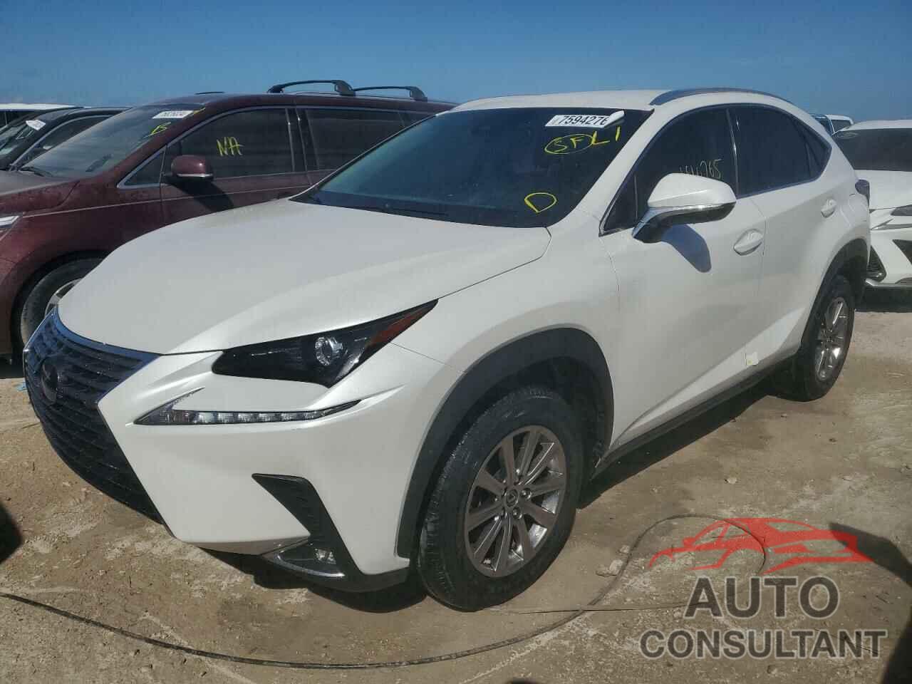 LEXUS NX 2020 - JTJAARBZ0L5001493