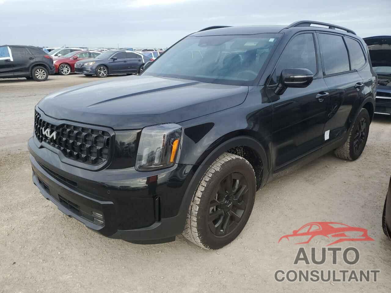 KIA TELLURIDE 2024 - 5XYP5DGC6RG415919