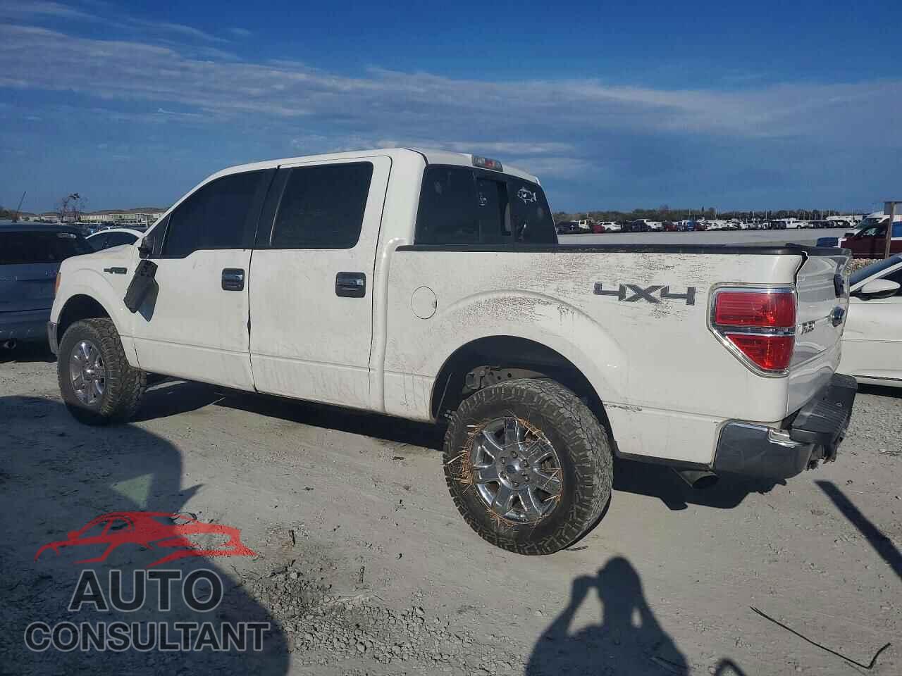 FORD F-150 2013 - 1FTFW1EF7DFD64334