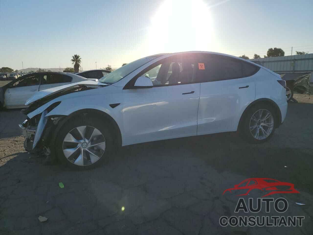 TESLA MODEL Y 2021 - 5YJYGDEE0MF109236