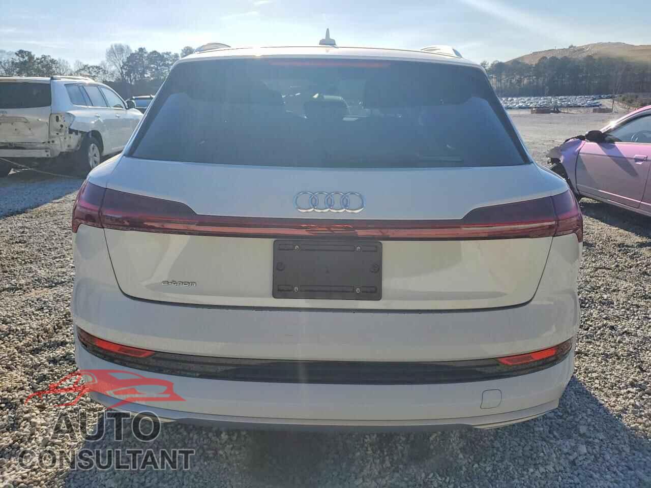 AUDI E-TRON 2019 - WA1VAAGE9KB022851