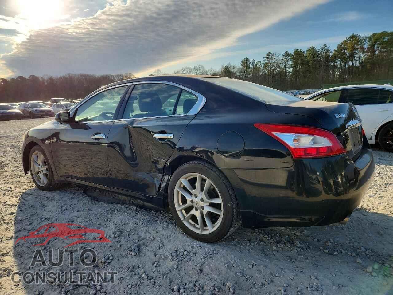 NISSAN MAXIMA 2010 - 1N4AA5AP1AC813816