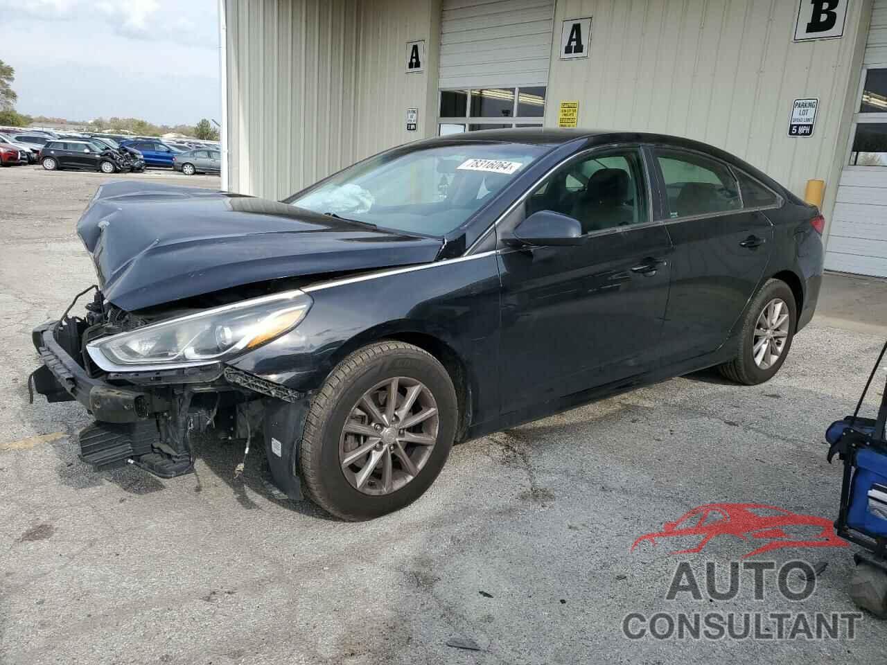 HYUNDAI SONATA 2019 - 5NPE24AF2KH745445