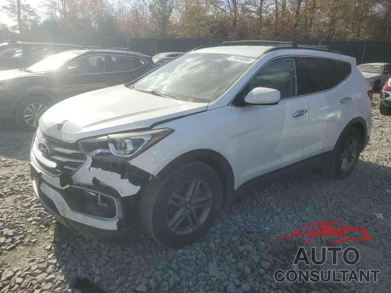 HYUNDAI SANTA FE 2017 - 5NMZUDLB8HH013963