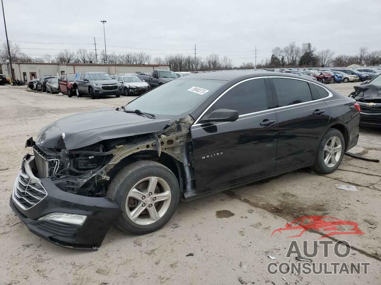 CHEVROLET MALIBU 2019 - 1G1ZB5ST7KF203465