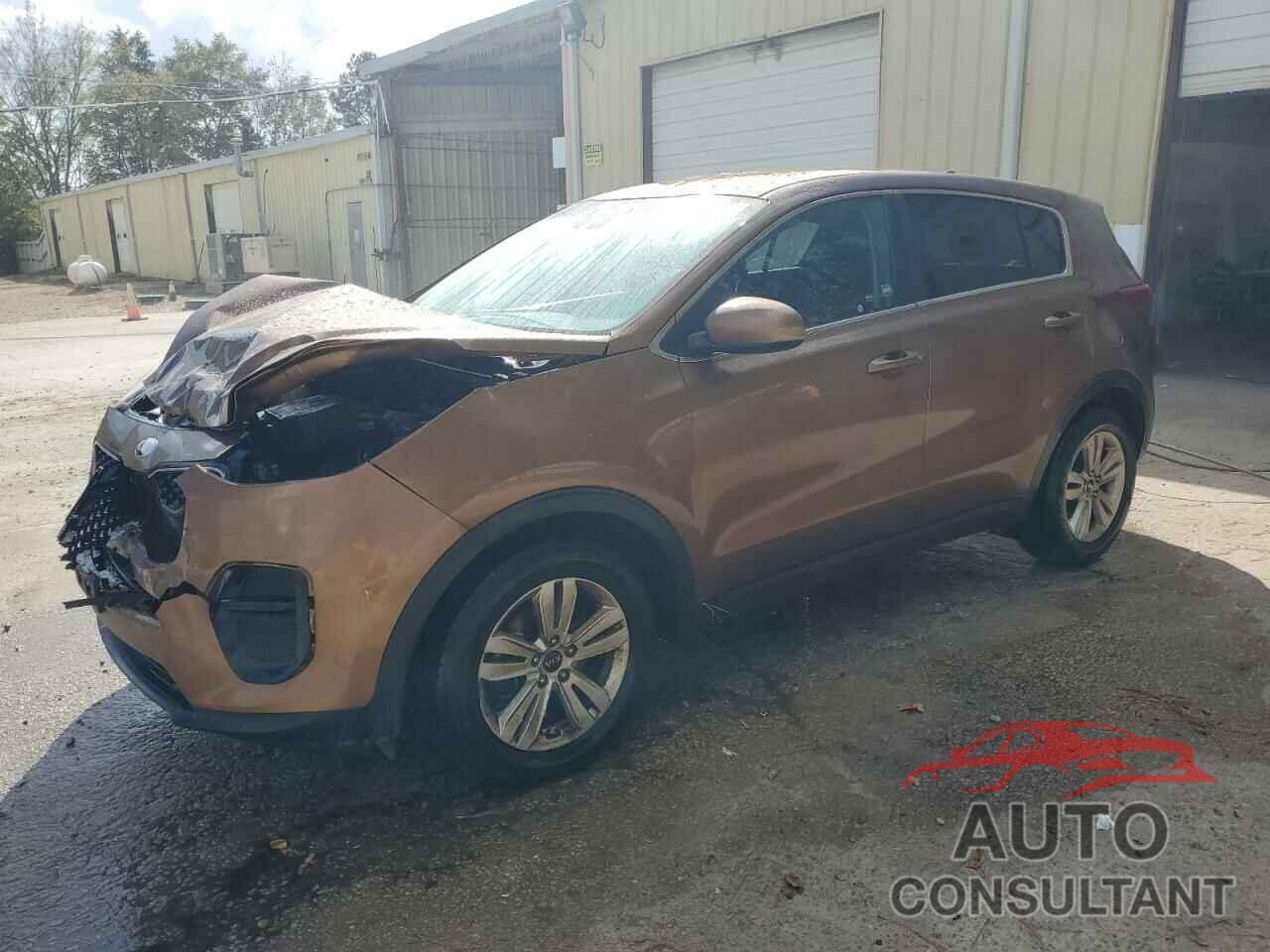 KIA SPORTAGE 2019 - KNDPM3AC7K7627852