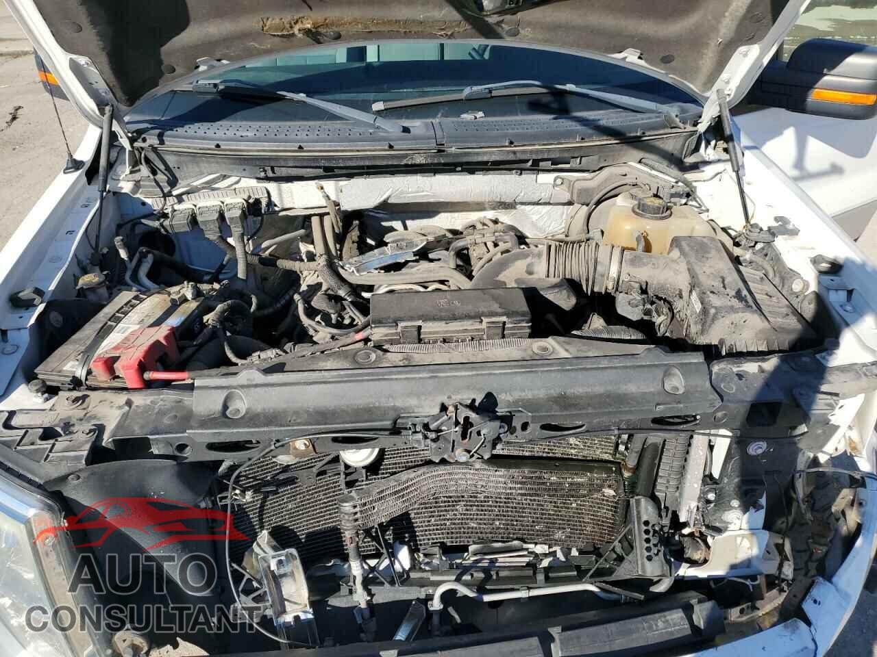 FORD F-150 2013 - 1FTFW1EF8DFA52491