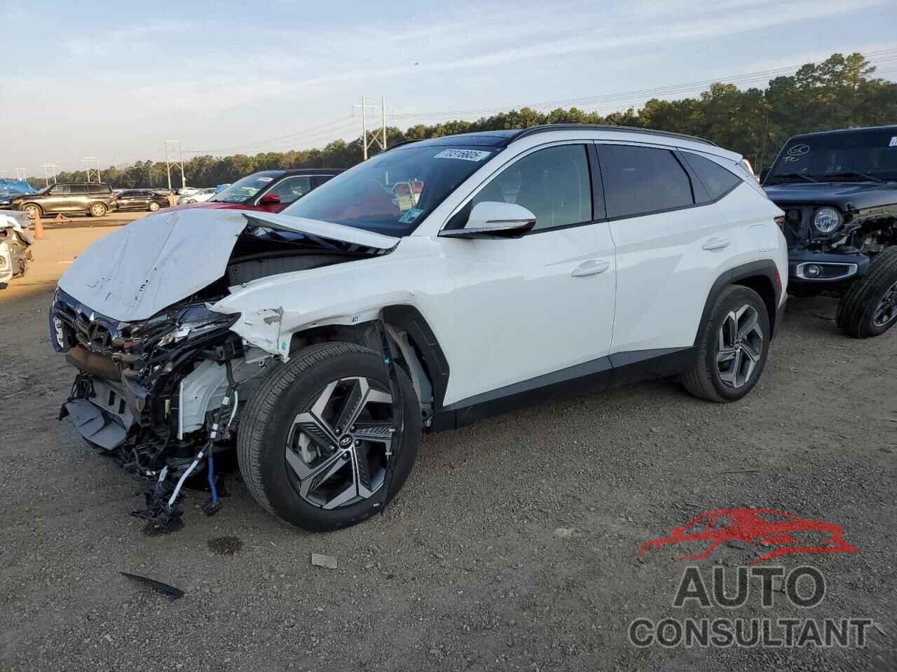 HYUNDAI TUCSON 2024 - 5NMJE3DE5RH412599
