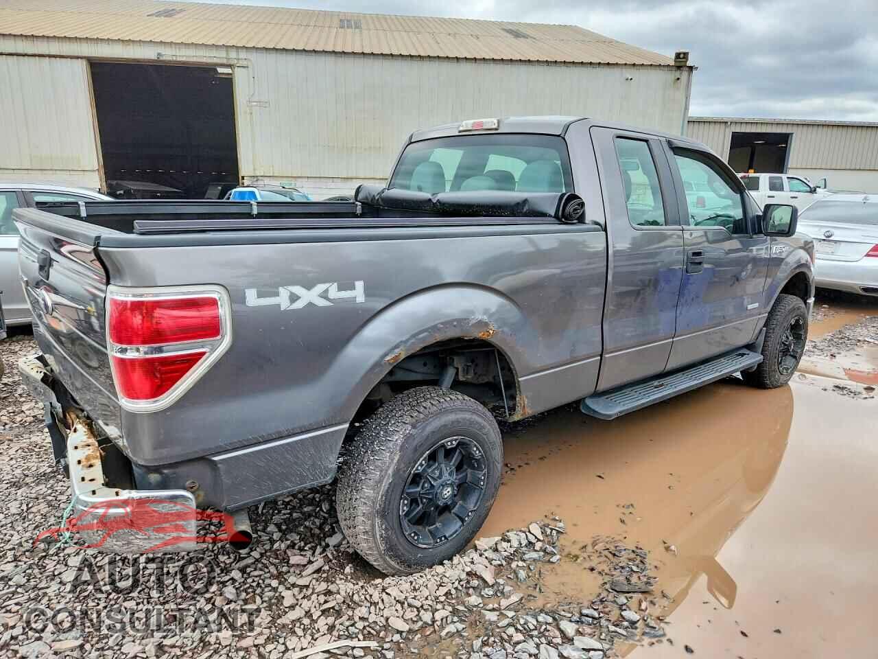 FORD F150 2012 - 1FTFX1ET8CFB92462