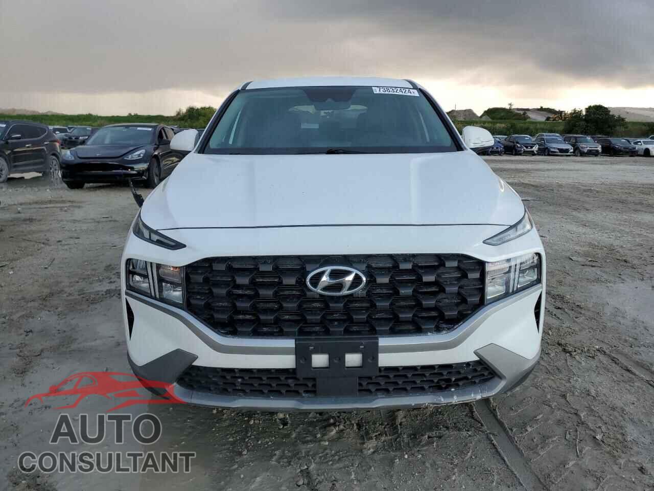 HYUNDAI SANTA FE 2021 - 5NMS14AJ5MH337080