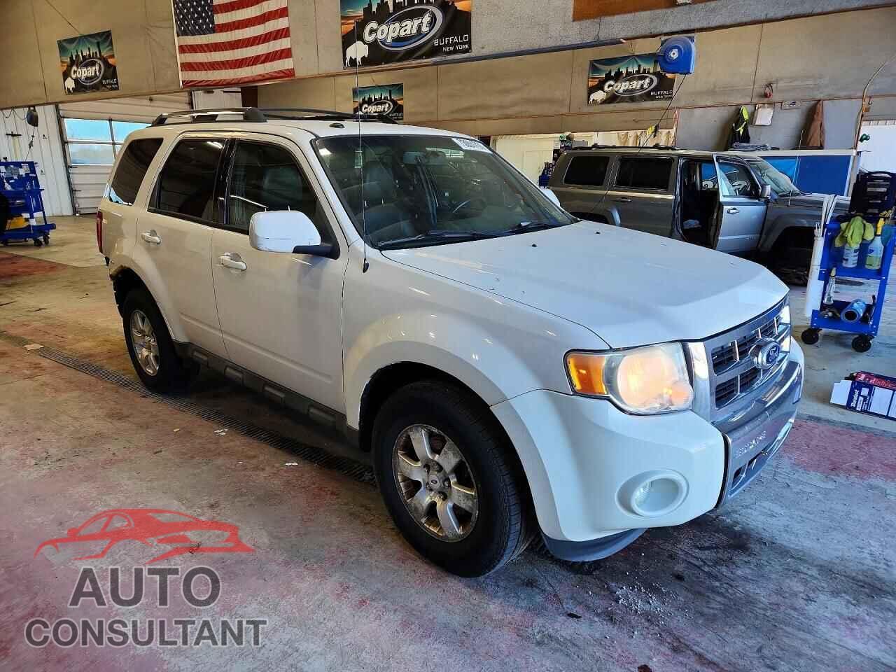 FORD ESCAPE 2010 - 1FMCU0EG4AKB77742
