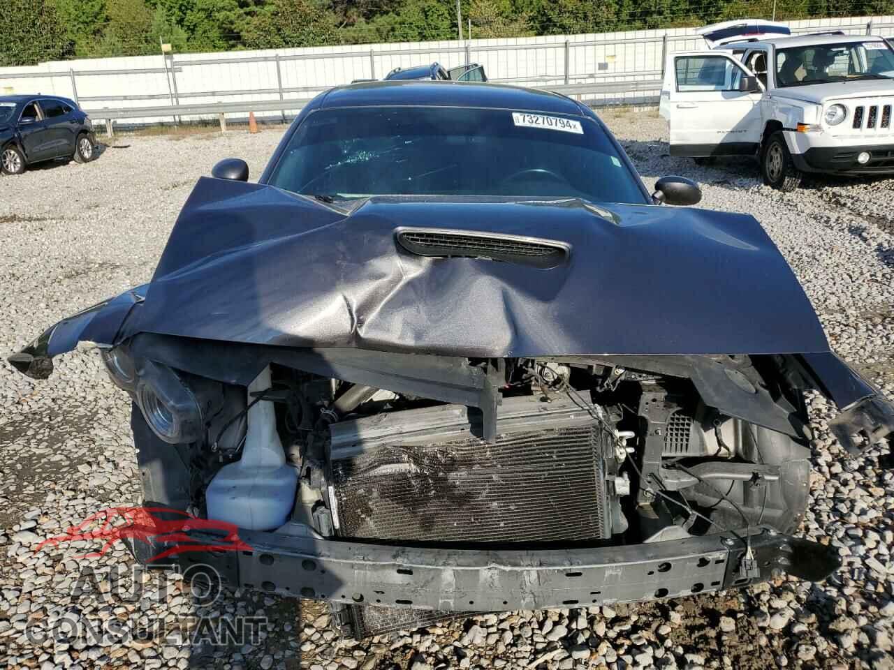 DODGE CHALLENGER 2019 - 2C3CDZBT5KH573668