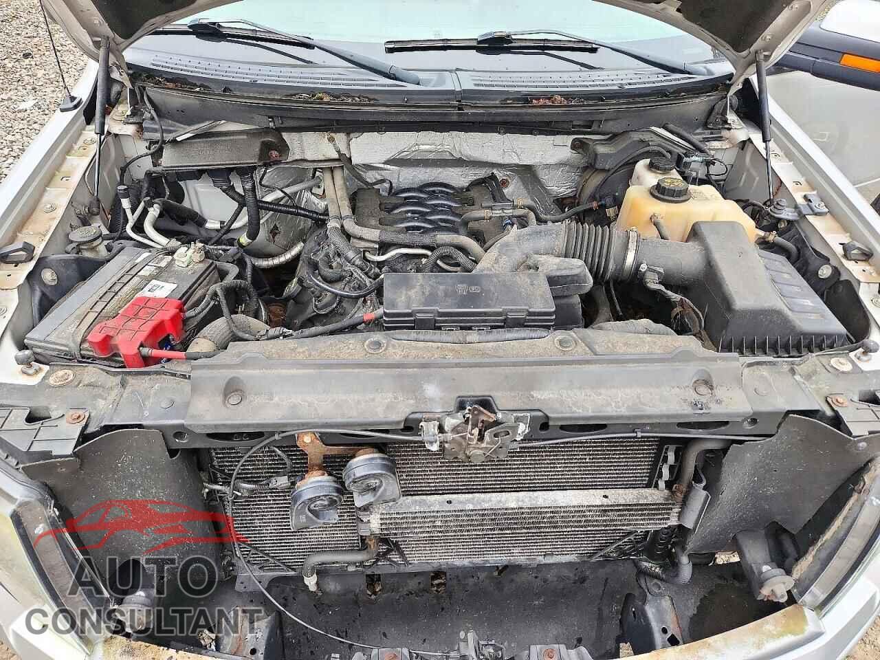 FORD F150 2011 - 1FTFX1EF8BFC34105