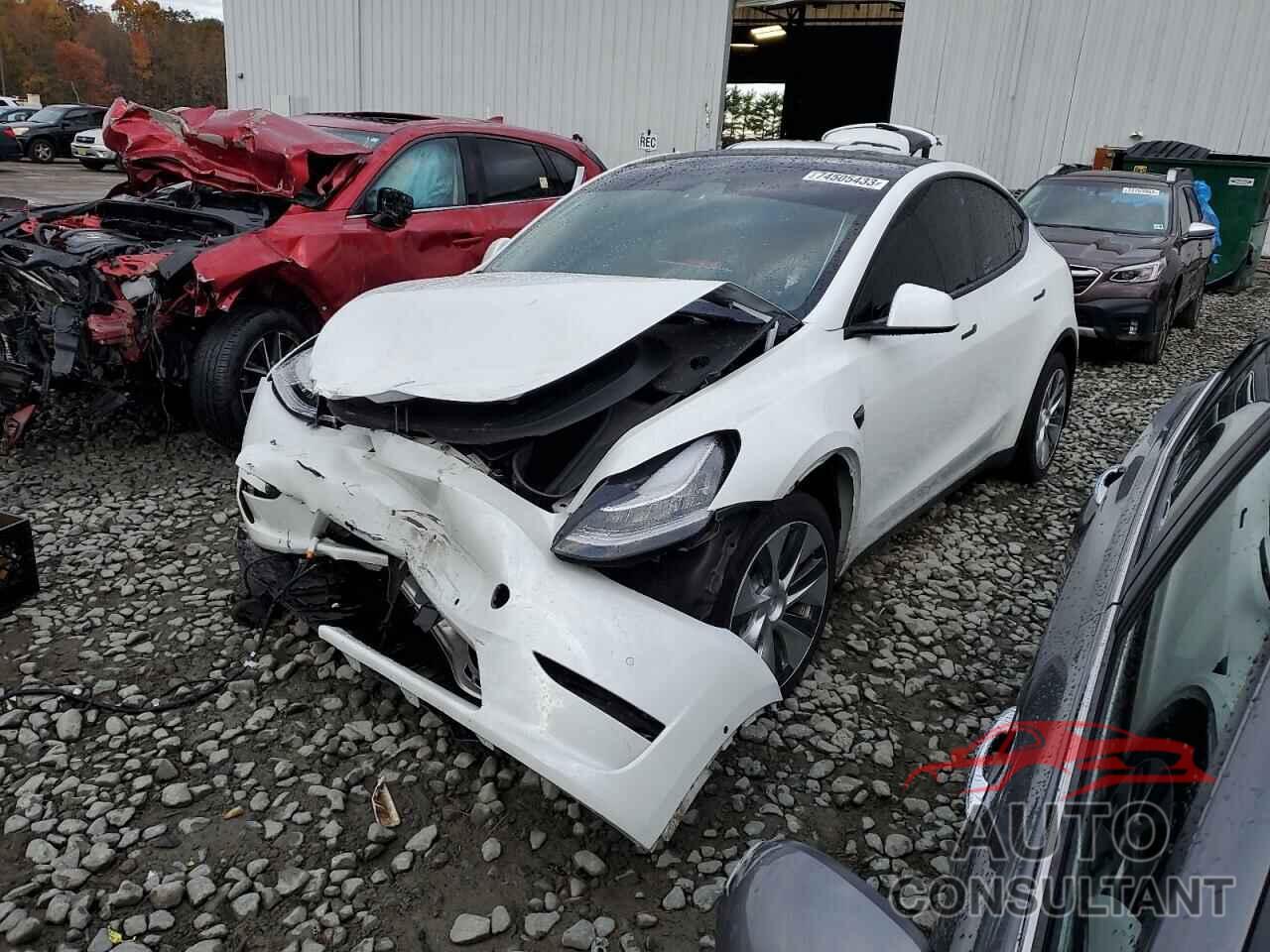TESLA MODEL Y 2021 - 5YJYGDEE2MF229586