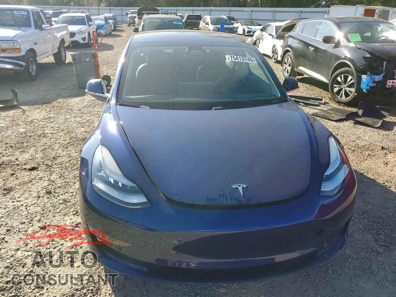 TESLA MODEL 3 2019 - 5YJ3E1EA2KF309270