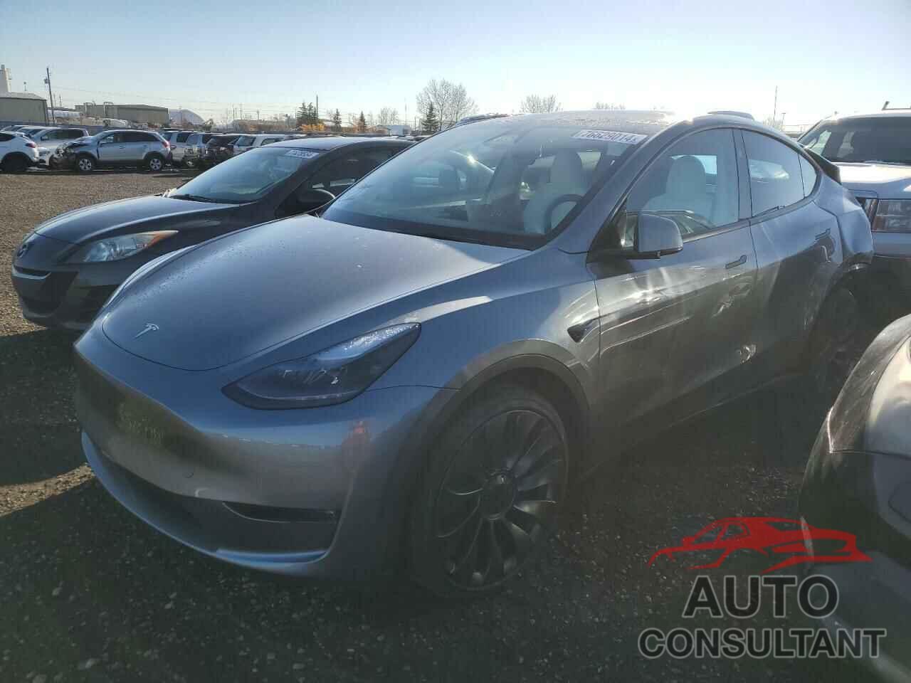 TESLA MODEL Y 2024 - 7SAYGDEF7RF128238