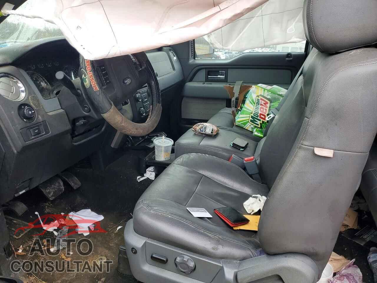 FORD F-150 2013 - 1FTFX1EF7DFD65481