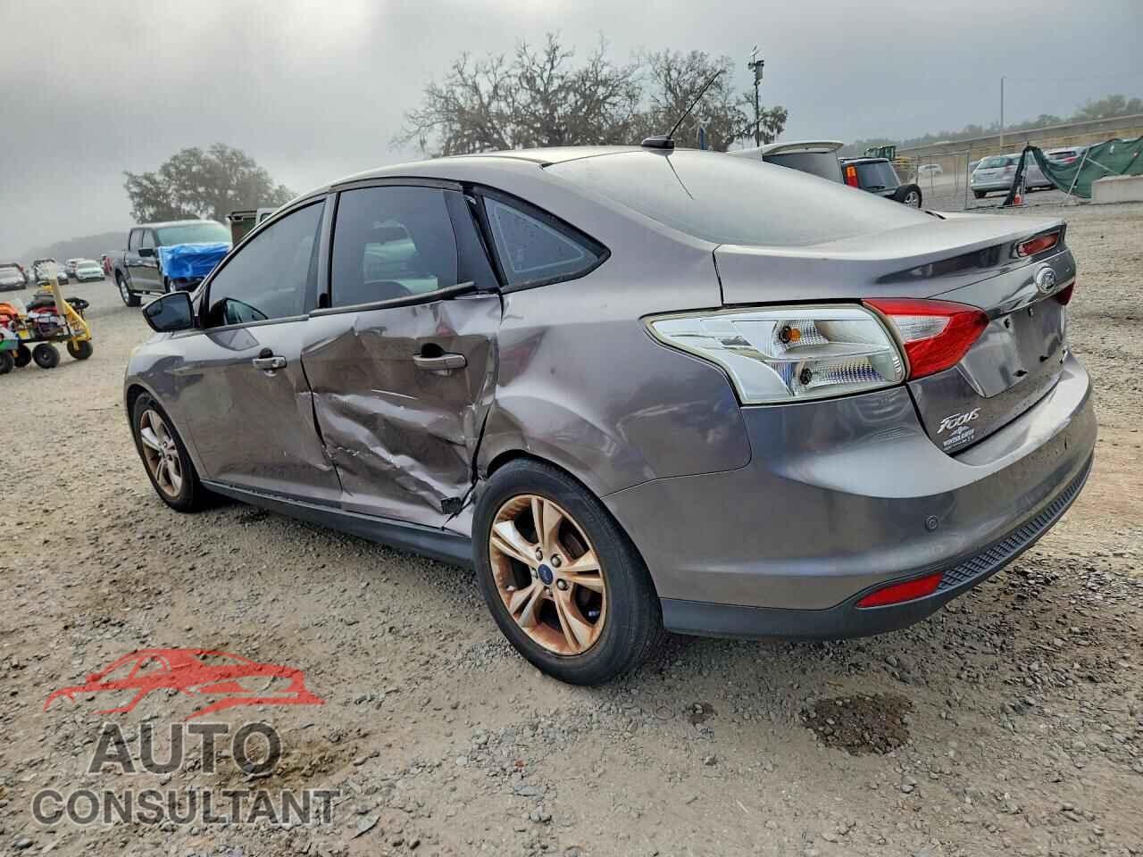 FORD FOCUS 2014 - 1FADP3F20EL387524