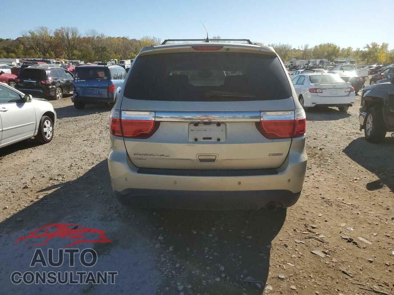 DODGE DURANGO 2011 - 1D4RE4GG9BC695618