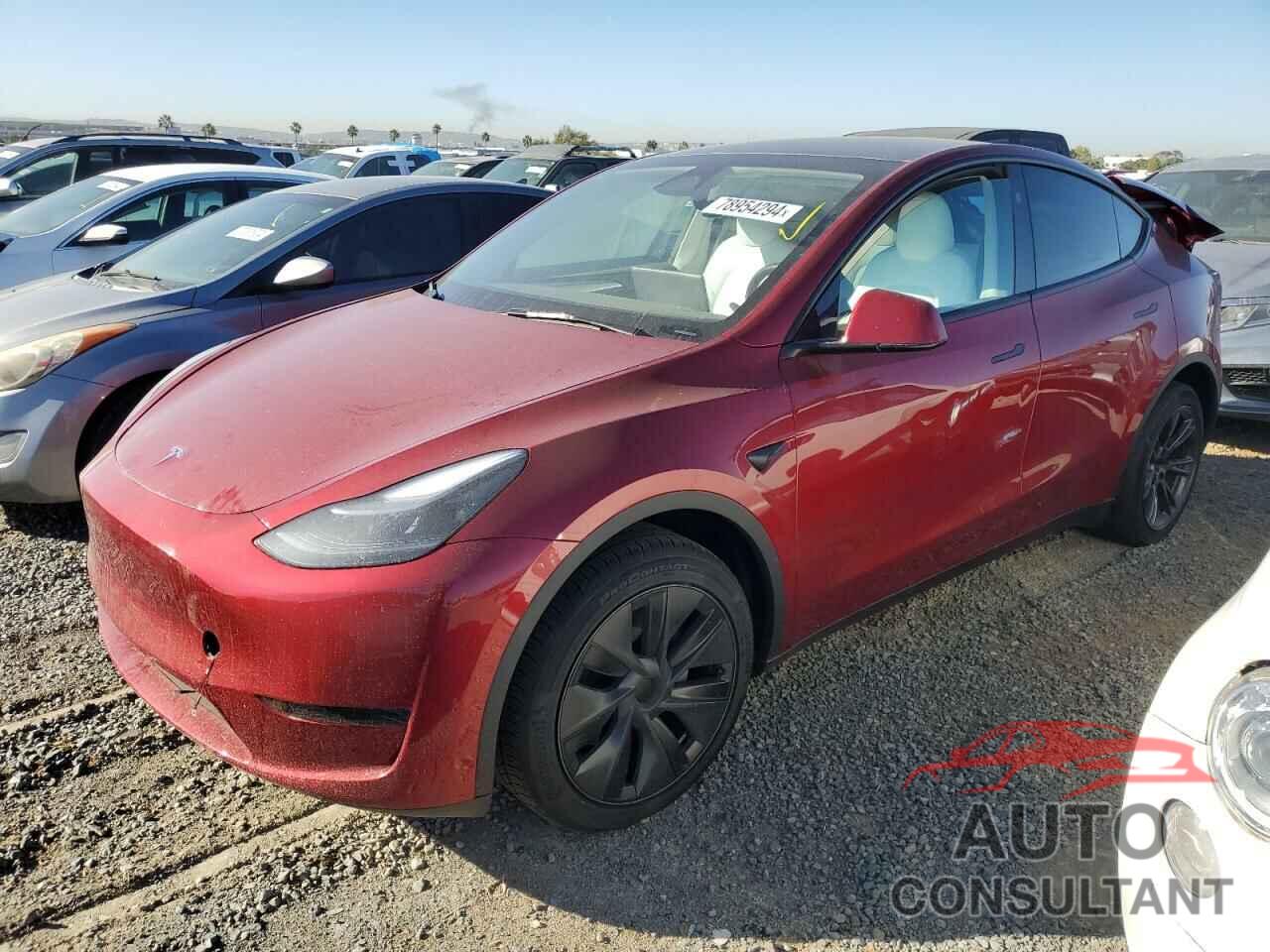 TESLA MODEL Y 2024 - 7SAYGDEDXRF166111