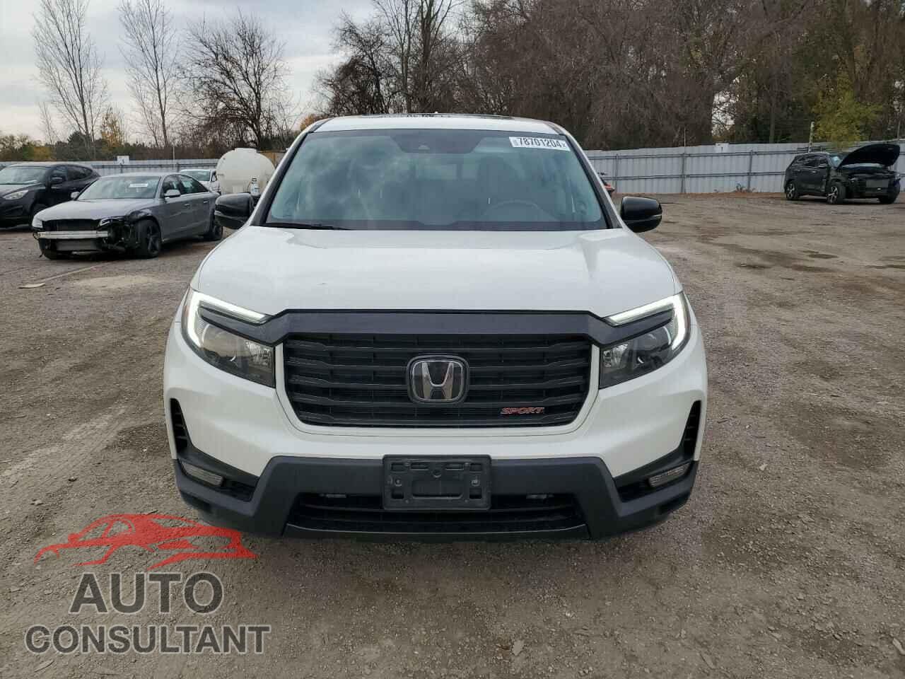 HONDA RIDGELINE 2021 - 5FPYK3F10MB501662