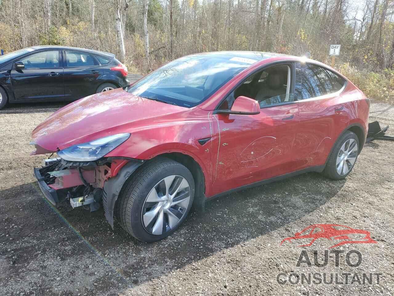 TESLA MODEL Y 2022 - 7SAYGDEE4NF544801