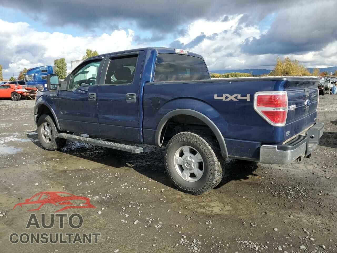 FORD F-150 2012 - 1FTFW1EF1CFB58215