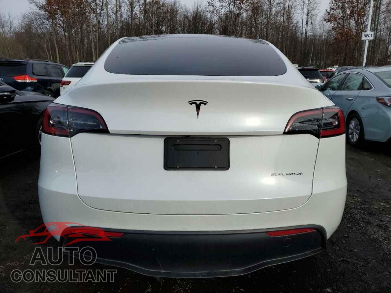 TESLA MODEL Y 2023 - 7SAYGAEE7PF671446