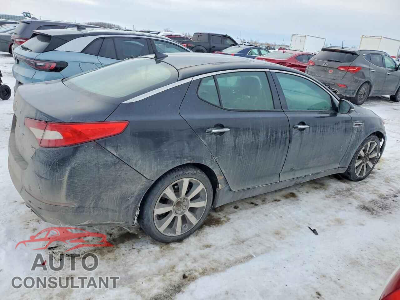 KIA OPTIMA 2011 - KNAGN4A72B5107444