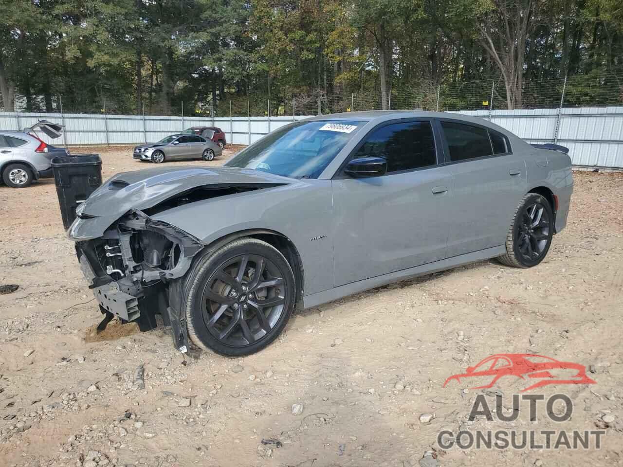 DODGE CHARGER 2019 - 2C3CDXCT6KH562391
