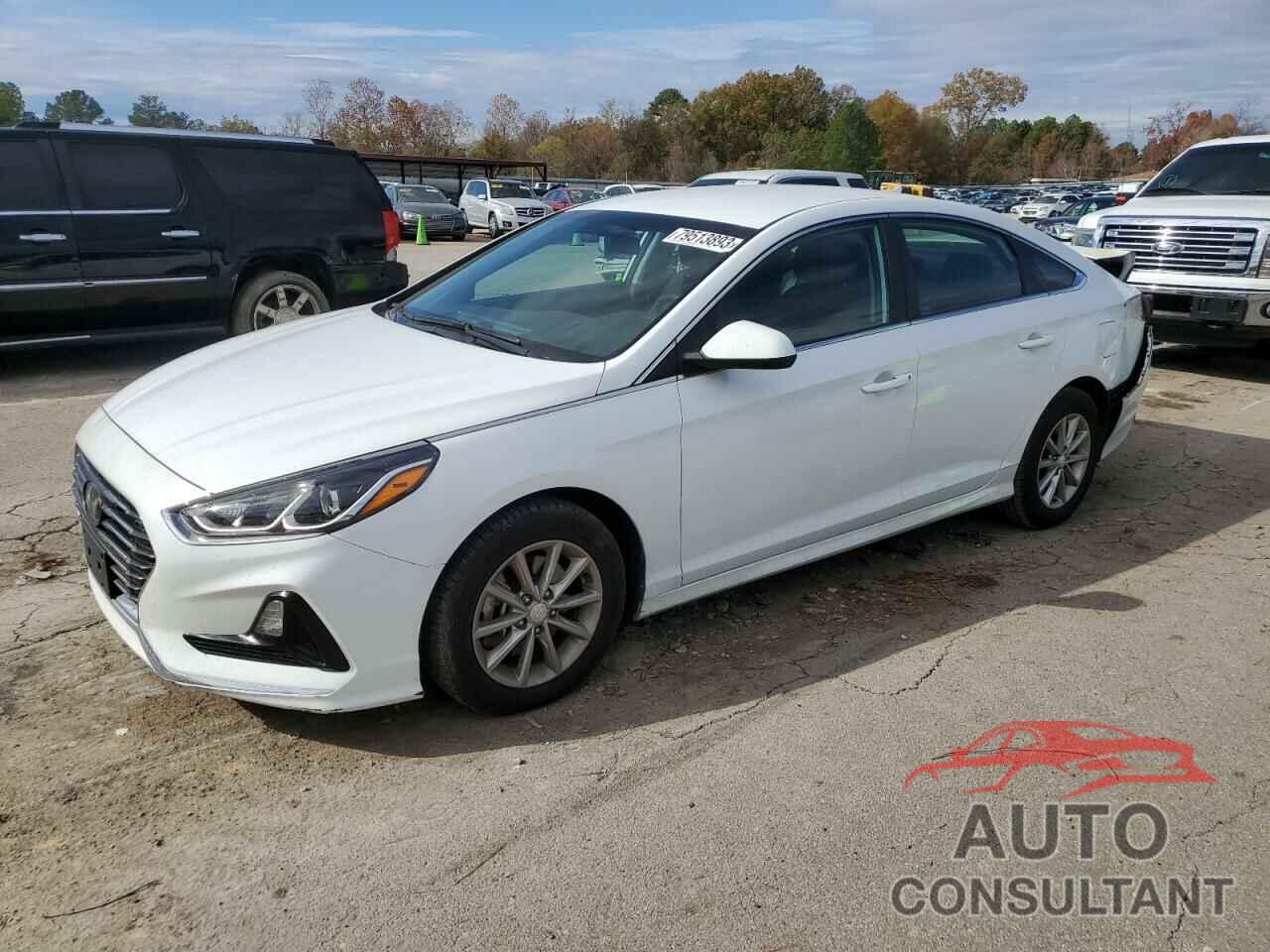 HYUNDAI SONATA 2019 - 5NPE24AF0KH797480