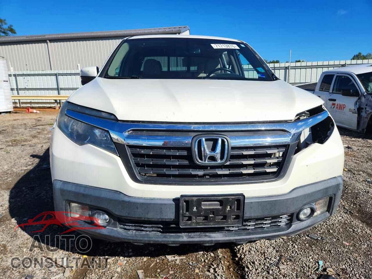 HONDA RIDGELINE 2019 - 5FPYK3F65KB011808