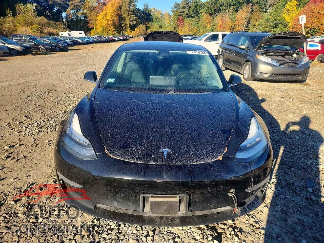 TESLA MODEL 3 2019 - 5YJ3E1EA3KF397777