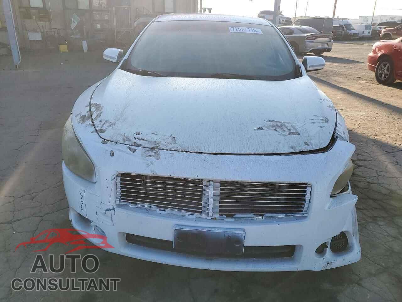 NISSAN MAXIMA 2009 - 1N4AA51E19C816905