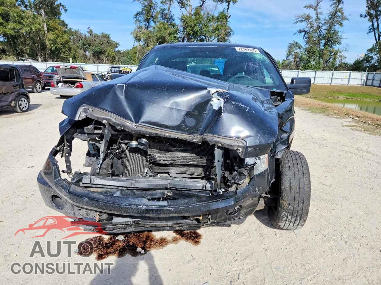 FORD F150 2013 - 1FTFX1CF2DFB80614