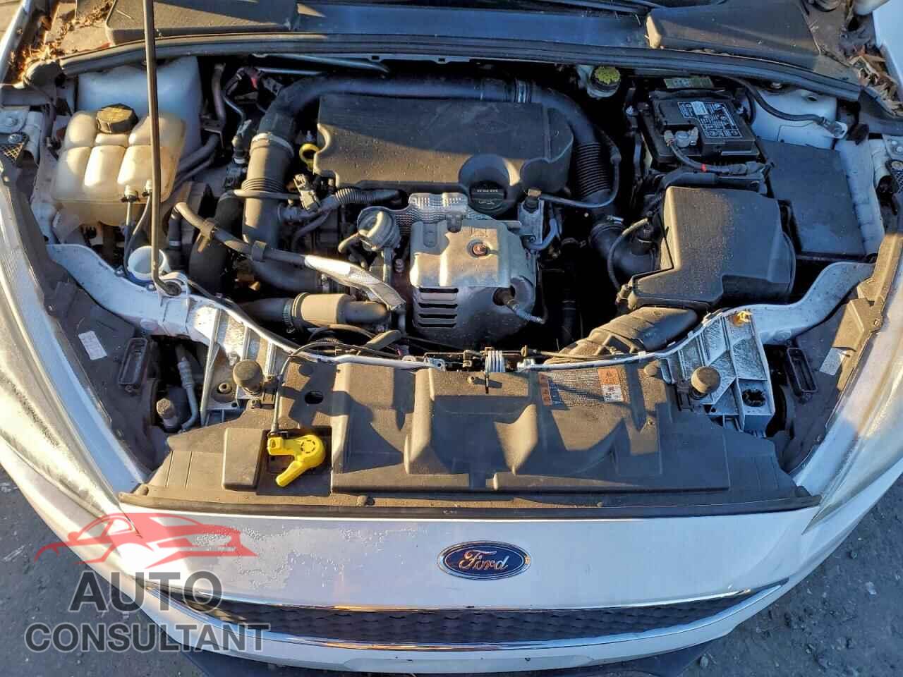 FORD FOCUS 2016 - 1FADP3FE0GL237040