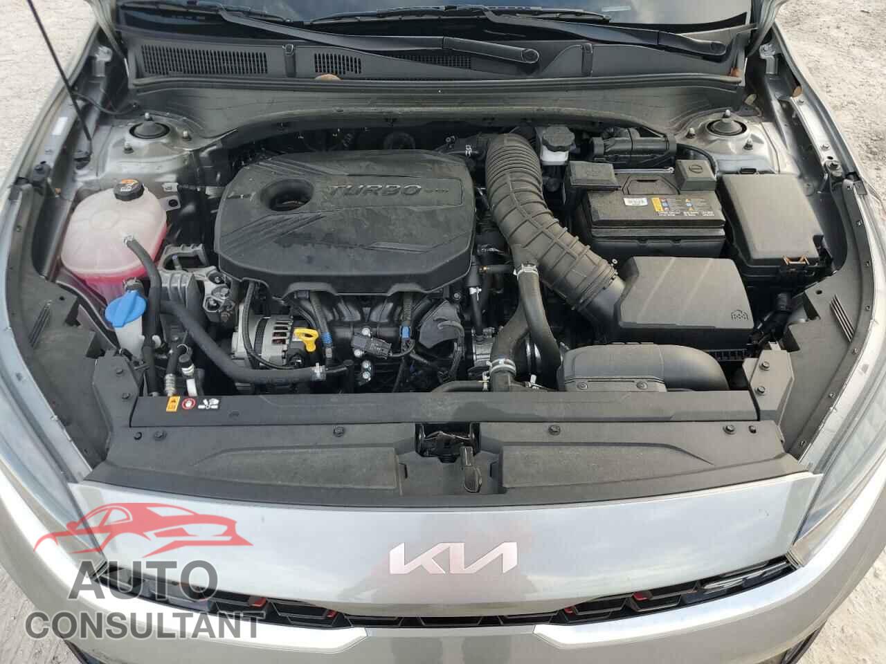KIA FORTE 2022 - 3KPF44AC3NE443403