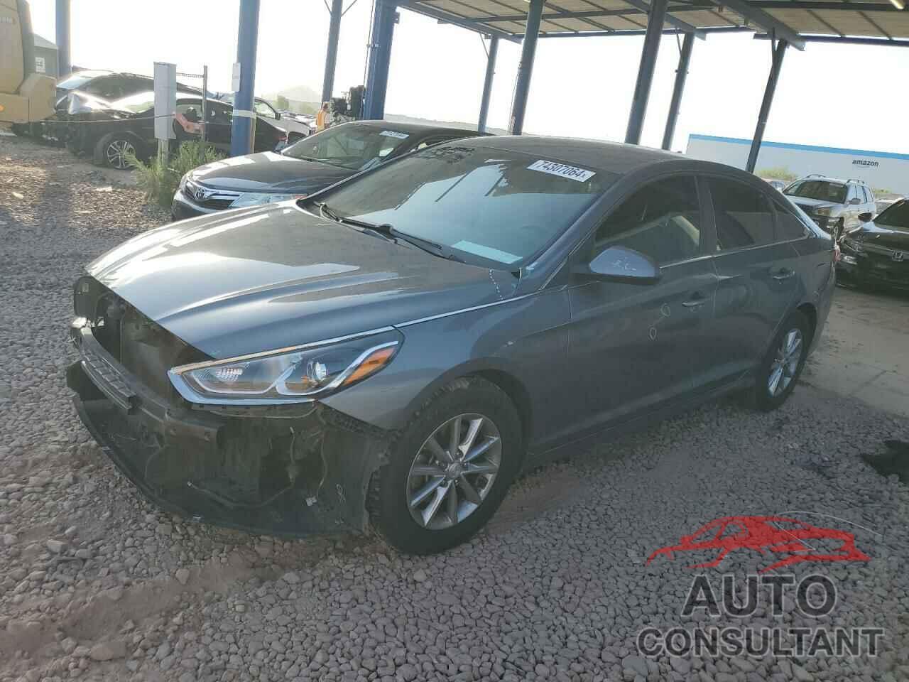 HYUNDAI SONATA 2019 - 5NPE24AF2KH770216