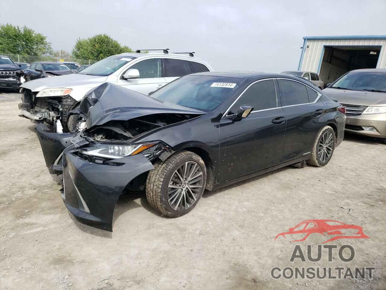 LEXUS ES300 2022 - 58ADA1C13NU019770