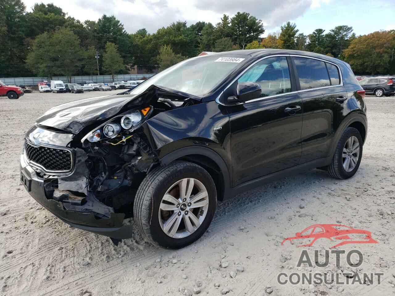 KIA SPORTAGE 2017 - KNDPMCAC8H7186502