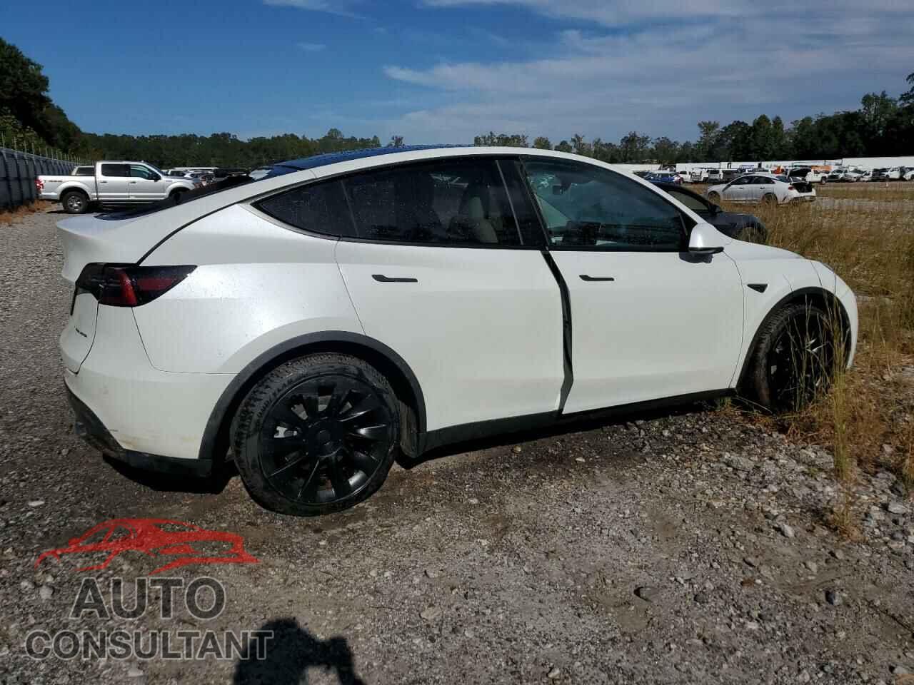 TESLA MODEL Y 2024 - 7SAYGDEE7RF993704