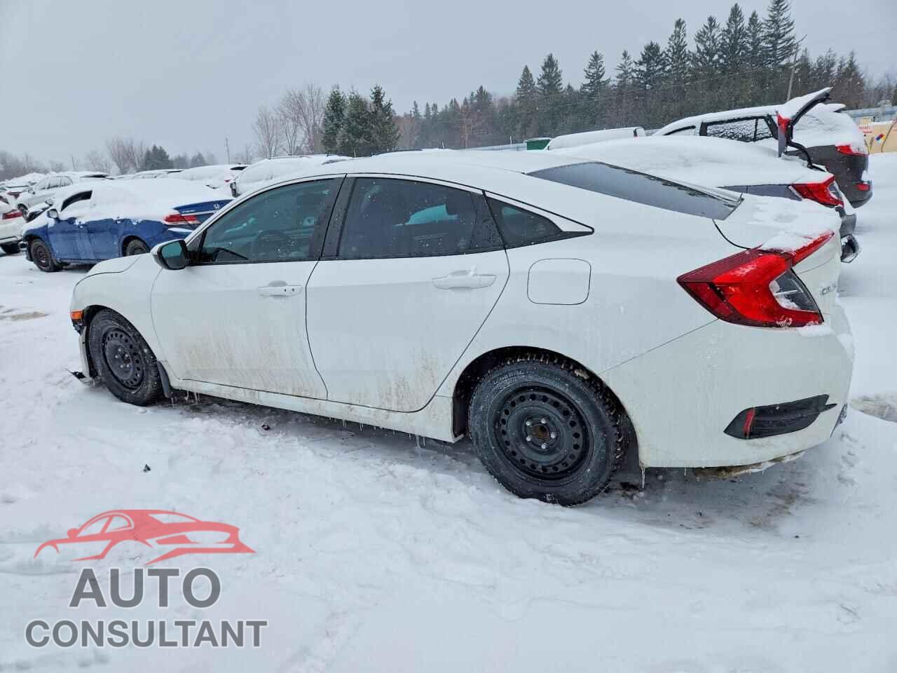 HONDA CIVIC 2019 - 2HGFC2F78KH036147