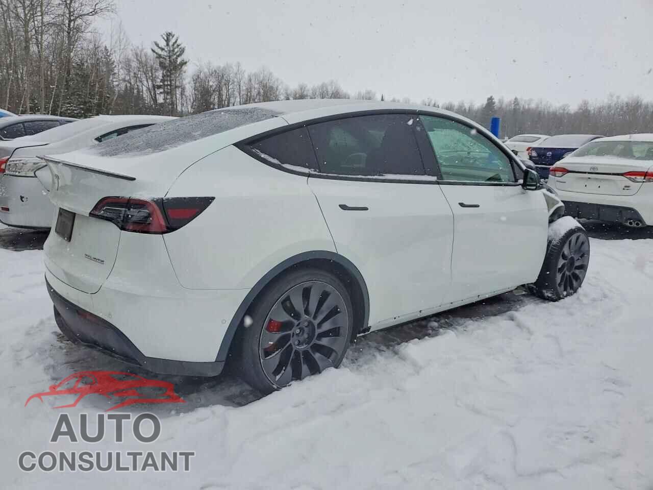 TESLA MODEL Y 2022 - 7SAYGDEF2NF516438