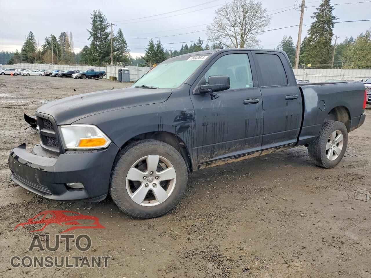 DODGE RAM 1500 2012 - 1C6RD7FTXCS171960